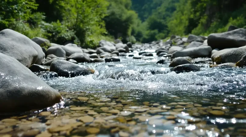 《山涧清音》剧照封面 - h视频在线观看